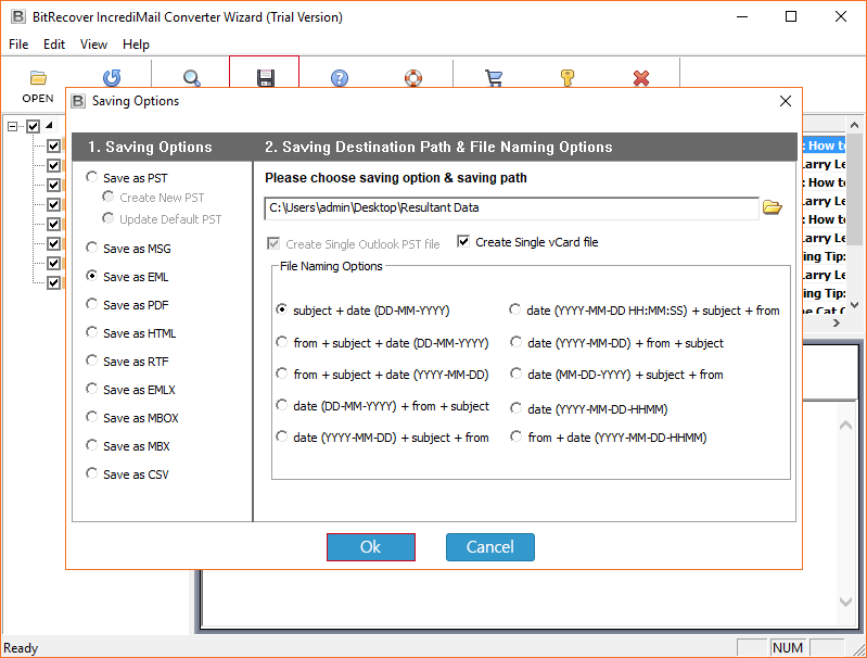 file naming option